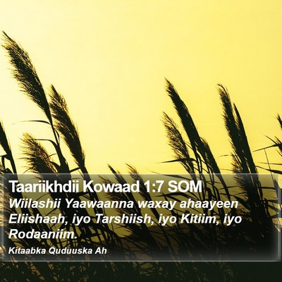 Taariikhdii Kowaad 1:7 SOM Bible Verse Image