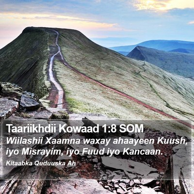 Taariikhdii Kowaad 1:8 SOM Bible Verse Image