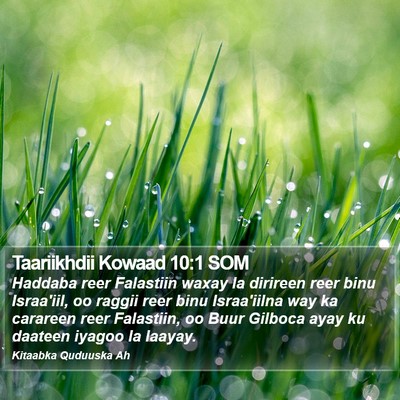 Taariikhdii Kowaad 10:1 SOM Bible Verse Image