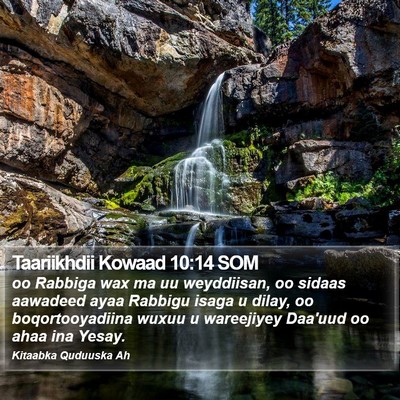 Taariikhdii Kowaad 10:14 SOM Bible Verse Image