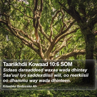 Taariikhdii Kowaad 10:6 SOM Bible Verse Image