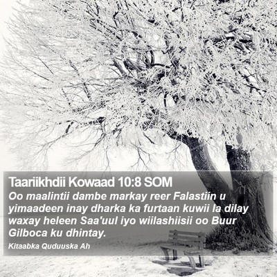 Taariikhdii Kowaad 10:8 SOM Bible Verse Image