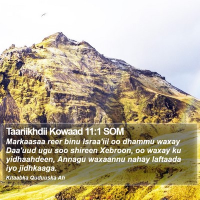 Taariikhdii Kowaad 11:1 SOM Bible Verse Image
