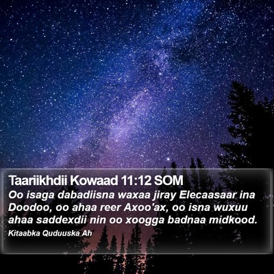 Taariikhdii Kowaad 11:12 SOM Bible Verse Image