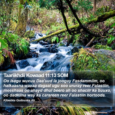 Taariikhdii Kowaad 11:13 SOM Bible Verse Image