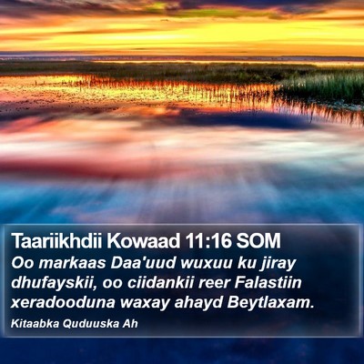 Taariikhdii Kowaad 11:16 SOM Bible Verse Image