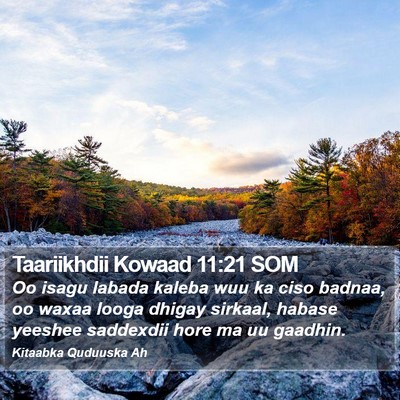Taariikhdii Kowaad 11:21 SOM Bible Verse Image
