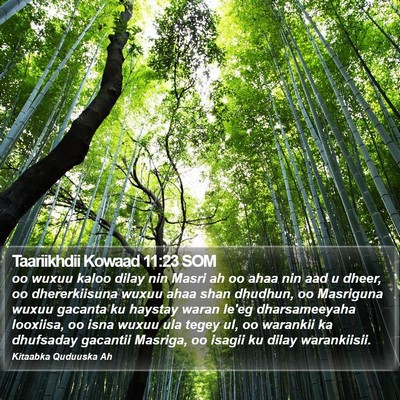 Taariikhdii Kowaad 11:23 SOM Bible Verse Image