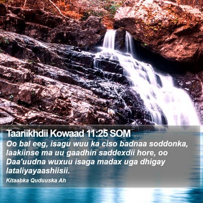 Taariikhdii Kowaad 11:25 SOM Bible Verse Image