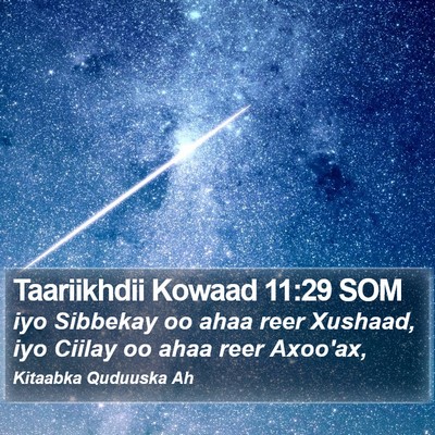 Taariikhdii Kowaad 11:29 SOM Bible Verse Image