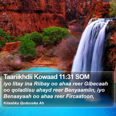 Taariikhdii Kowaad 11:31 SOM Bible Verse Image