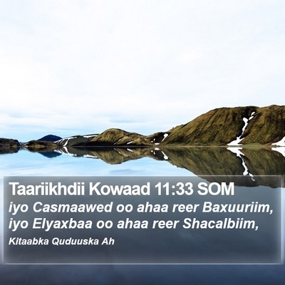 Taariikhdii Kowaad 11:33 SOM Bible Verse Image