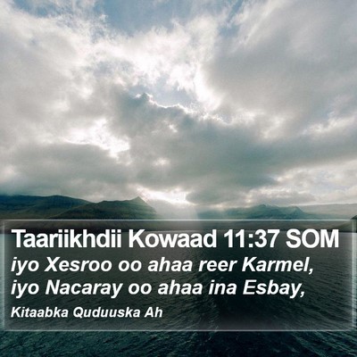 Taariikhdii Kowaad 11:37 SOM Bible Verse Image