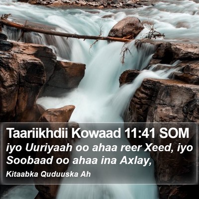 Taariikhdii Kowaad 11:41 SOM Bible Verse Image