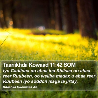 Taariikhdii Kowaad 11:42 SOM Bible Verse Image