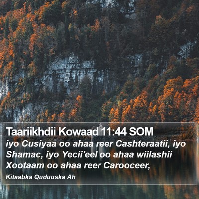 Taariikhdii Kowaad 11:44 SOM Bible Verse Image