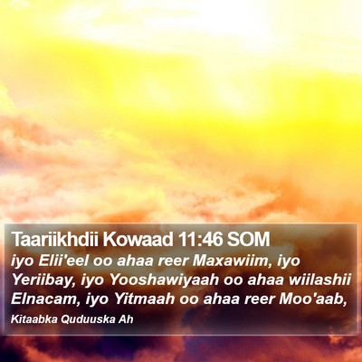 Taariikhdii Kowaad 11:46 SOM Bible Verse Image