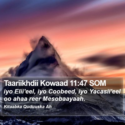 Taariikhdii Kowaad 11:47 SOM Bible Verse Image