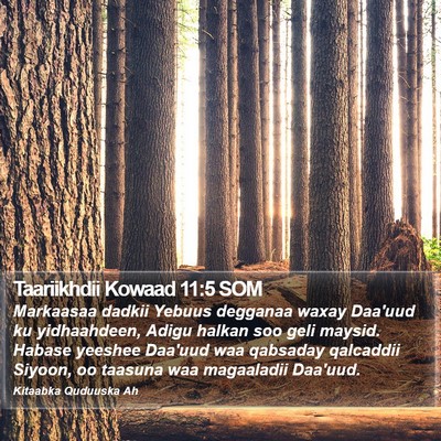Taariikhdii Kowaad 11:5 SOM Bible Verse Image