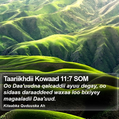 Taariikhdii Kowaad 11:7 SOM Bible Verse Image