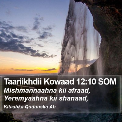 Taariikhdii Kowaad 12:10 SOM Bible Verse Image