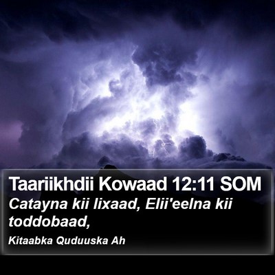 Taariikhdii Kowaad 12:11 SOM Bible Verse Image