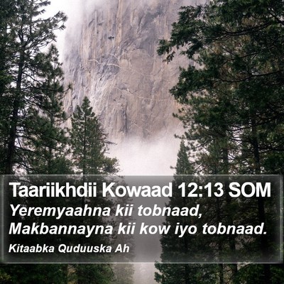 Taariikhdii Kowaad 12:13 SOM Bible Verse Image