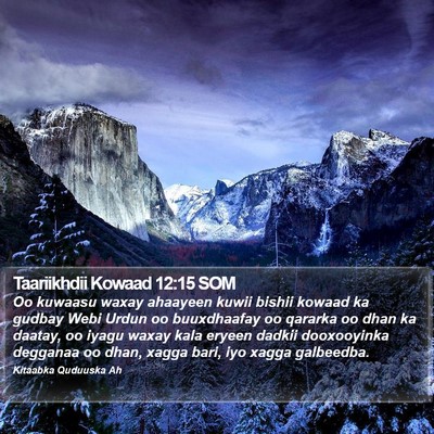 Taariikhdii Kowaad 12:15 SOM Bible Verse Image