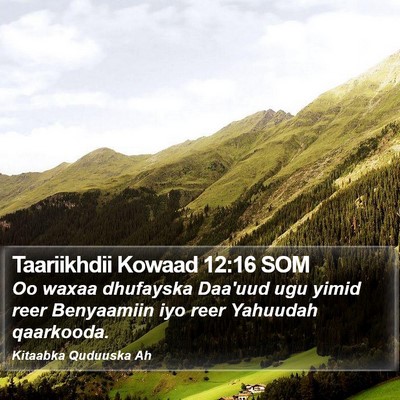 Taariikhdii Kowaad 12:16 SOM Bible Verse Image