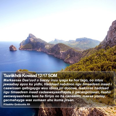 Taariikhdii Kowaad 12:17 SOM Bible Verse Image