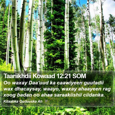 Taariikhdii Kowaad 12:21 SOM Bible Verse Image