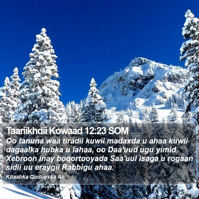 Taariikhdii Kowaad 12:23 SOM Bible Verse Image