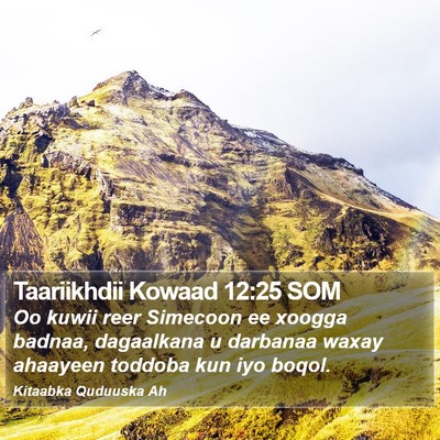 Taariikhdii Kowaad 12:25 SOM Bible Verse Image