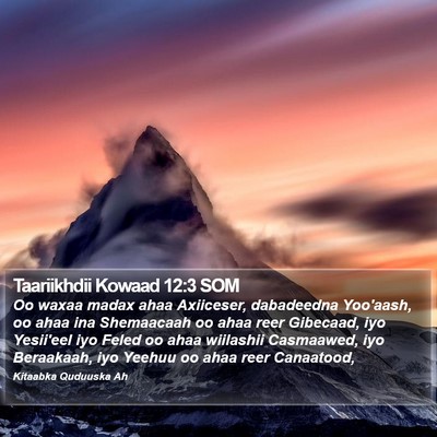 Taariikhdii Kowaad 12:3 SOM Bible Verse Image