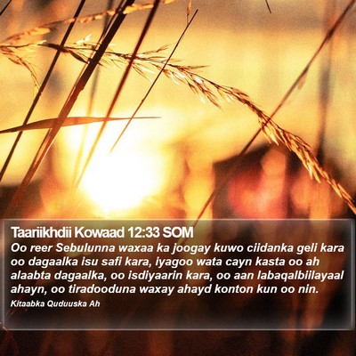 Taariikhdii Kowaad 12:33 SOM Bible Verse Image