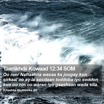Taariikhdii Kowaad 12:34 SOM Bible Verse Image