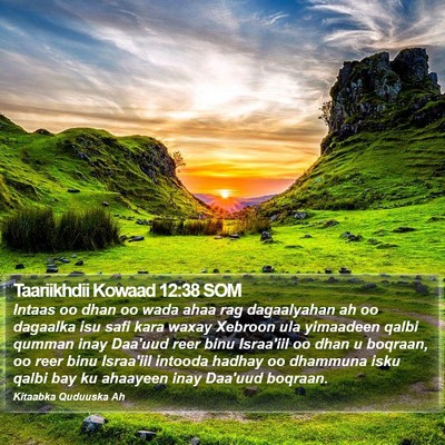 Taariikhdii Kowaad 12:38 SOM Bible Verse Image