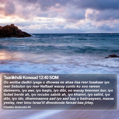 Taariikhdii Kowaad 12:40 SOM Bible Verse Image