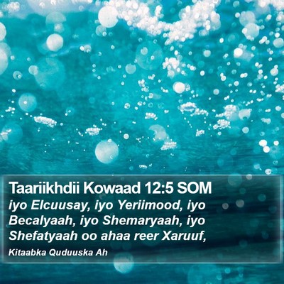 Taariikhdii Kowaad 12:5 SOM Bible Verse Image