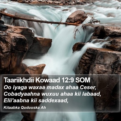 Taariikhdii Kowaad 12:9 SOM Bible Verse Image