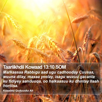 Taariikhdii Kowaad 13:10 SOM Bible Verse Image
