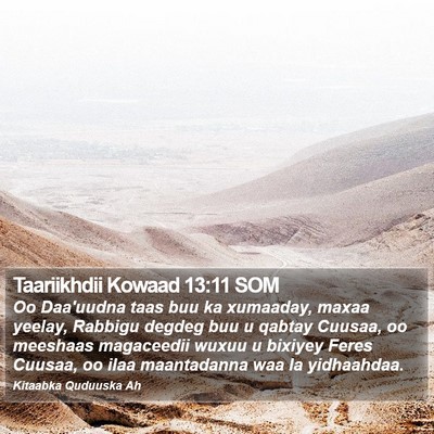 Taariikhdii Kowaad 13:11 SOM Bible Verse Image