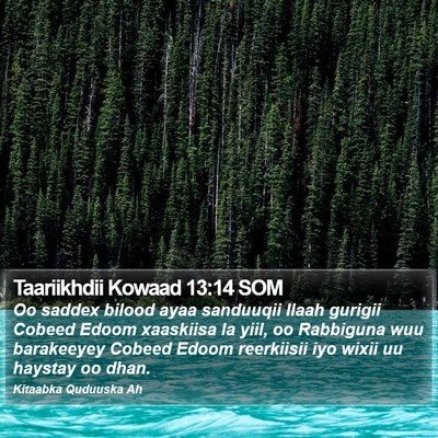 Taariikhdii Kowaad 13:14 SOM Bible Verse Image