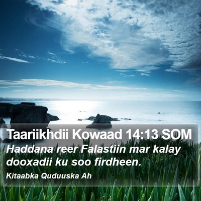 Taariikhdii Kowaad 14:13 SOM Bible Verse Image