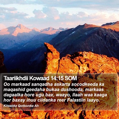 Taariikhdii Kowaad 14:15 SOM Bible Verse Image