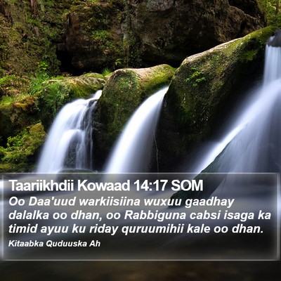 Taariikhdii Kowaad 14:17 SOM Bible Verse Image