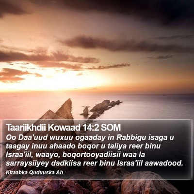 Taariikhdii Kowaad 14:2 SOM Bible Verse Image