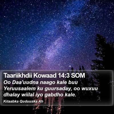 Taariikhdii Kowaad 14:3 SOM Bible Verse Image