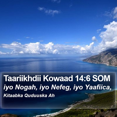 Taariikhdii Kowaad 14:6 SOM Bible Verse Image