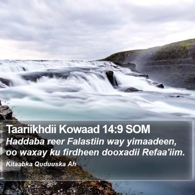 Taariikhdii Kowaad 14:9 SOM Bible Verse Image